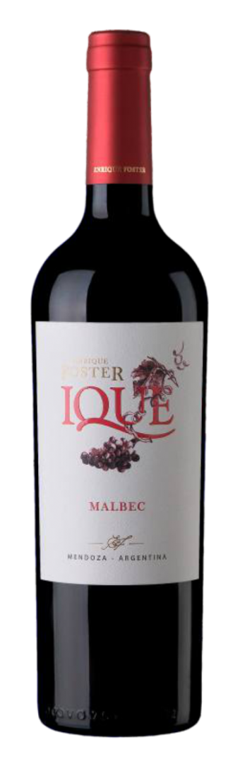 VINHO IQUE MALBEC 2021 ENRIQUE FOSTER